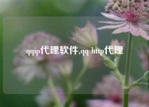 qqip代理软件,qq http代理
