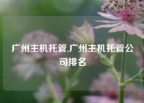 广州主机托管,广州主机托管公司排名