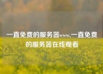 一直免费的服务器www,一直免费的服务器在线观看