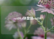 raid10,6块盘做raid10
