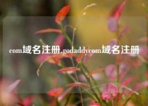 com域名注册,godaddycom域名注册