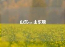 山东vps,山东舰