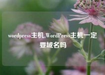 wordpress主机,WordPress主机一定要域名吗