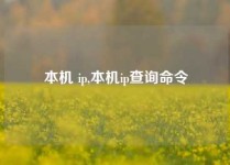 本机 ip,本机ip查询命令