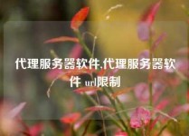 代理服务器软件,代理服务器软件 url限制