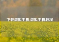 下载虚拟主机,虚拟主机教程