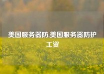 美国服务器防,美国服务器防护工资