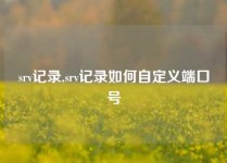 srv记录,srv记录如何自定义端口号