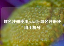 域名注册使用godaddy,域名注册使用手机号