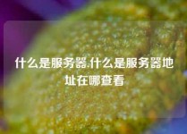 什么是服务器,什么是服务器地址在哪查看