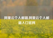 阿里云个人邮箱,阿里云个人邮箱入口官网