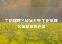 工信部域名备案系统,工信部域名备案系统登录