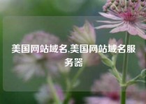 美国网站域名,美国网站域名服务器