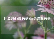 什么叫dns服务器,dns是啥服务器