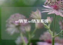 url转发,url转发系统