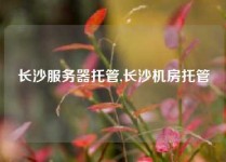 长沙服务器托管,长沙机房托管