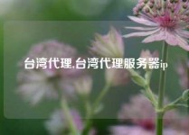 台湾代理,台湾代理服务器ip