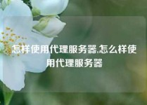 怎样使用代理服务器,怎么样使用代理服务器