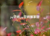 jsp空间,jsp空间哪家好