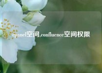cpanel空间,confluence空间权限