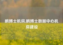 鹏博士机房,鹏博士数据中心机房建设