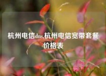 杭州电信dns,杭州电信宽带套餐价格表