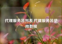代理服务器列表,代理服务器使用教程