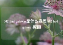 502 bad gateway是什么意思,502 bad gateway原因