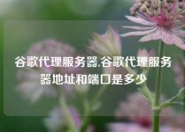 谷歌代理服务器,谷歌代理服务器地址和端口是多少