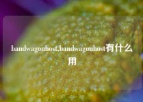 bandwagonhost,bandwagonhost有什么用