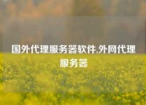 国外代理服务器软件,外网代理服务器