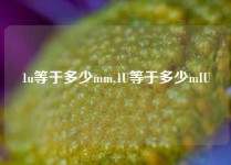 1u等于多少mm,1U等于多少mIU