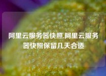 阿里云服务器快照,阿里云服务器快照保留几天合适