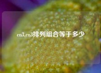 cn3,cn3排列组合等于多少