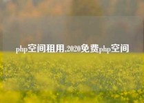 php空间租用,2020免费php空间