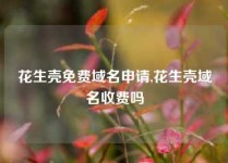 花生壳免费域名申请,花生壳域名收费吗