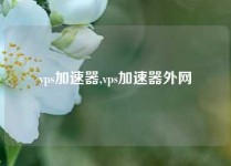 vps加速器,vps加速器外网