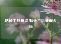 站长工具查询,站长工具查询系统