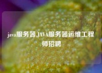 java服务器,JAVA服务器运维工程师招聘