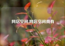 网店空间,网店空间具有