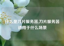 什么是刀片服务器,刀片服务器适用于什么场景