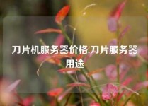 刀片机服务器价格,刀片服务器用途