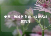免费二级域名,免费二级域名跳转教程