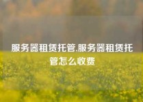 服务器租赁托管,服务器租赁托管怎么收费
