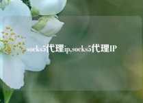 socks5代理ip,socks5代理IP