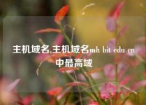 主机域名,主机域名mh bit edu cn中最高域