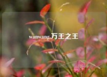 wanwang,万王之王