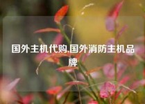 国外主机代购,国外消防主机品牌