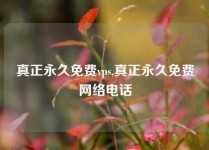 真正永久免费vps,真正永久免费网络电话