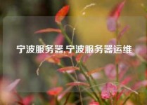 宁波服务器,宁波服务器运维